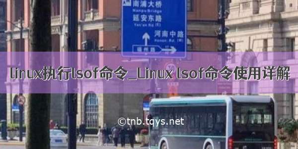 linux执行lsof命令_Linux lsof命令使用详解