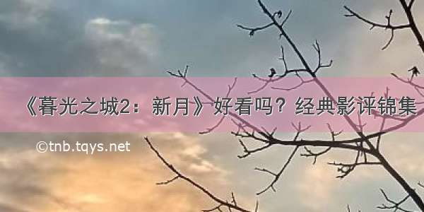 《暮光之城2：新月》好看吗？经典影评锦集