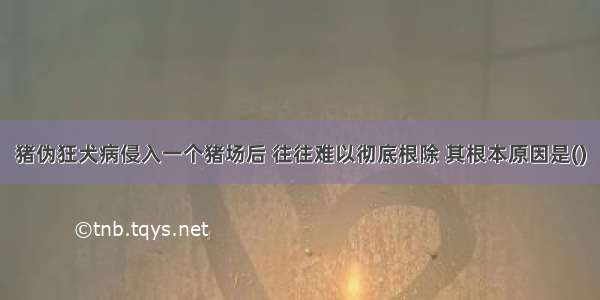 猪伪狂犬病侵入一个猪场后 往往难以彻底根除 其根本原因是()