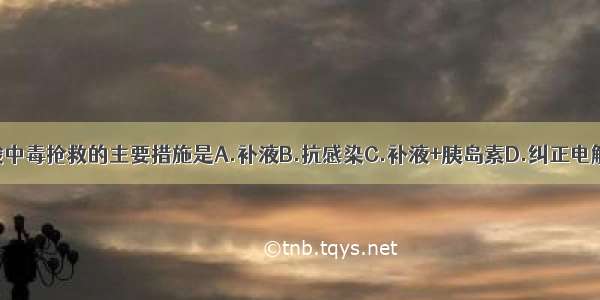 糖尿病酮症酸中毒抢救的主要措施是A.补液B.抗感染C.补液+胰岛素D.纠正电解质紊乱E.补