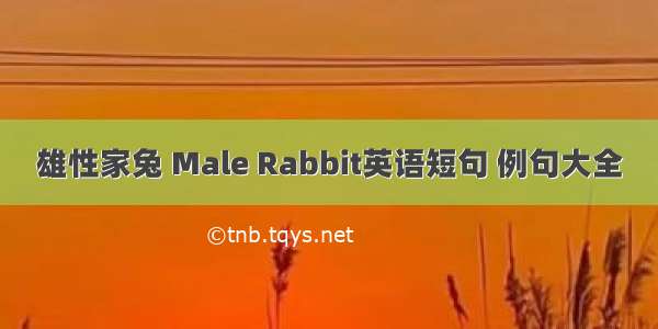 雄性家兔 Male Rabbit英语短句 例句大全