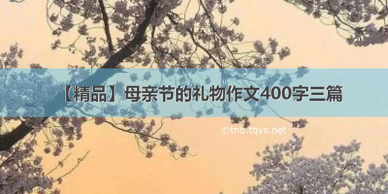 【精品】母亲节的礼物作文400字三篇