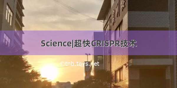 Science|超快CRISPR技术