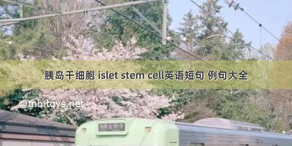 胰岛干细胞 islet stem cell英语短句 例句大全