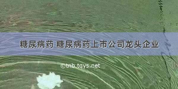 糖尿病药 糖尿病药上市公司龙头企业