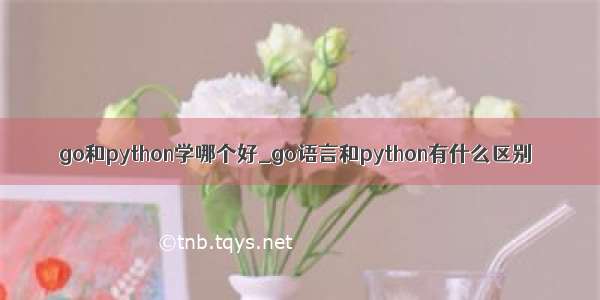 go和python学哪个好_go语言和python有什么区别