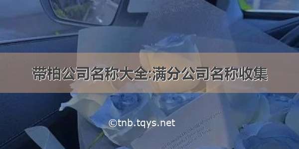 带柏公司名称大全:满分公司名称收集