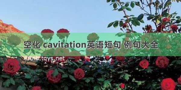 空化 cavitation英语短句 例句大全