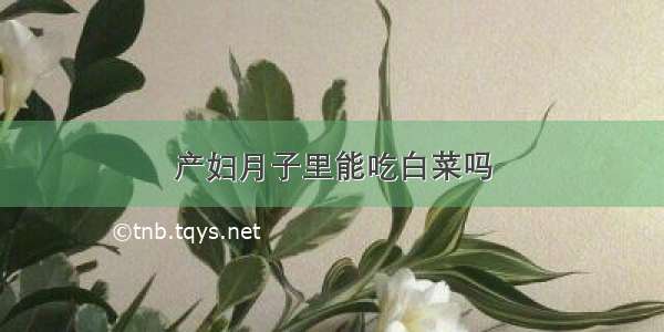 产妇月子里能吃白菜吗