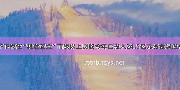 重庆多管齐下稳住“粮食安全”市级以上财政今年已投入24.5亿元资金建设高标准农田