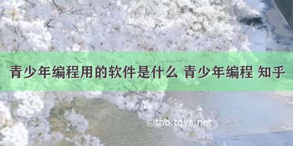 青少年编程用的软件是什么 青少年编程 知乎