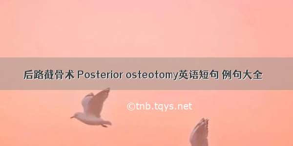 后路截骨术 Posterior osteotomy英语短句 例句大全