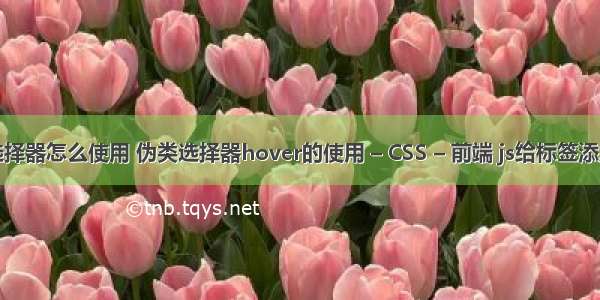 css父子选择器怎么使用 伪类选择器hover的使用 – CSS – 前端 js给标签添加css样式