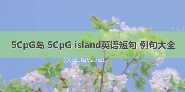 5CpG岛 5CpG island英语短句 例句大全