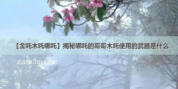 【金吒木吒哪吒】揭秘哪吒的哥哥木吒使用的武器是什么