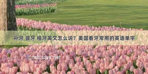 补牙 拔牙 植牙英文怎么说？美国看牙常用的英语单字