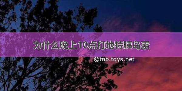 为什么晚上10点打地特胰岛素