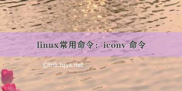 linux常用命令：iconv 命令