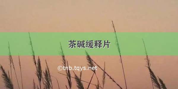 茶碱缓释片