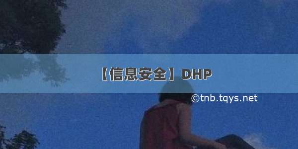 【信息安全】DHP