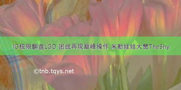 IG极限翻盘LGD 团战再现巅峰操作 米勒娃娃大赞TheShy