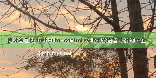 快速备自投 fast auto-control switch英语短句 例句大全