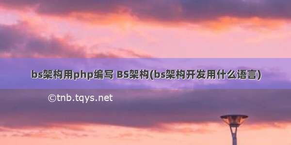 bs架构用php编写 BS架构(bs架构开发用什么语言)