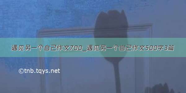 遇见另一个自己作文700_遇见另一个自己作文500字3篇