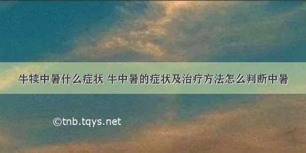 牛犊中暑什么症状 牛中暑的症状及治疗方法怎么判断中暑