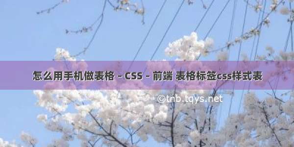 怎么用手机做表格 – CSS – 前端 表格标签css样式表