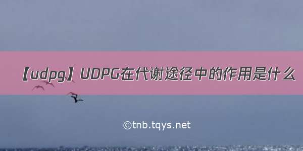 【udpg】UDPG在代谢途径中的作用是什么