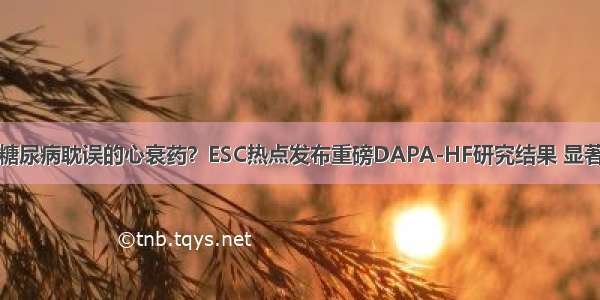 达格列净是被糖尿病耽误的心衰药？ESC热点发布重磅DAPA-HF研究结果 显著降低心血管死