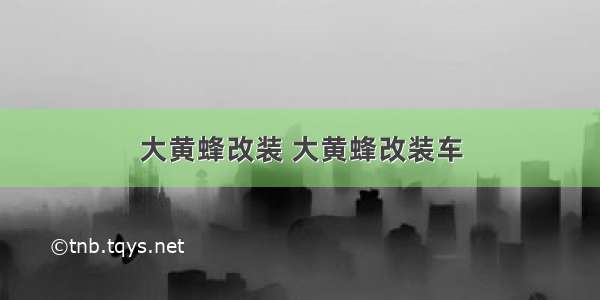 大黄蜂改装 大黄蜂改装车