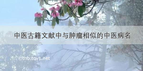 中医古籍文献中与肿瘤相似的中医病名