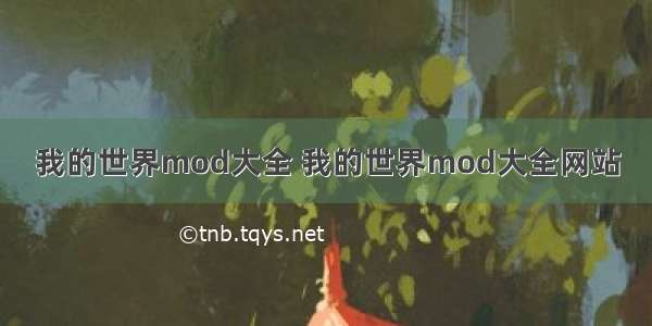 我的世界mod大全 我的世界mod大全网站