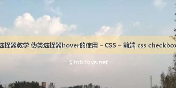 css3选择器教学 伪类选择器hover的使用 – CSS – 前端 css checkbox 大小