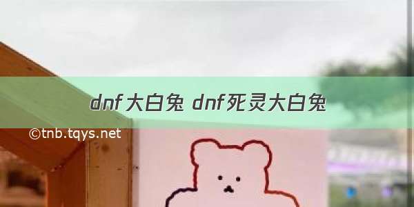 dnf大白兔 dnf死灵大白兔