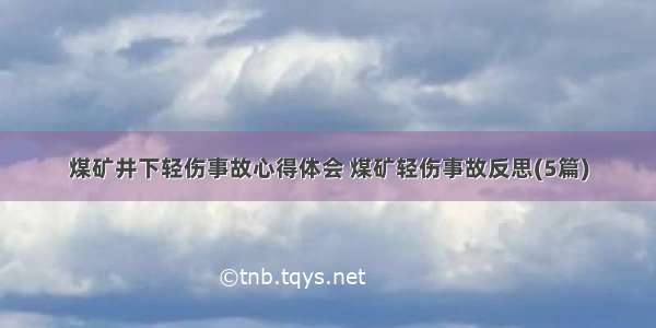 煤矿井下轻伤事故心得体会 煤矿轻伤事故反思(5篇)