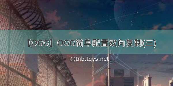 【OGG】OGG简单配置双向复制(三)