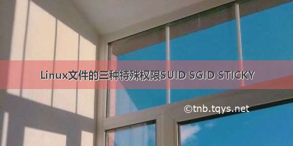 Linux文件的三种特殊权限SUID SGID STICKY