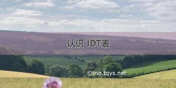 认识 IDT表