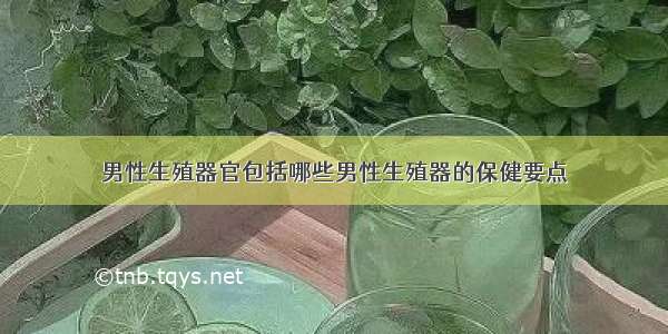 男性生殖器官包括哪些男性生殖器的保健要点