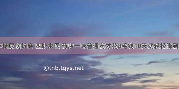 十年糖尿病折磨 四处求医 药店一味普通药才花8毛钱10天就轻松降到正常