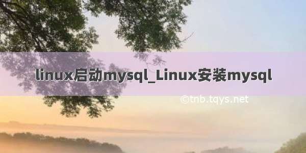 linux启动mysql_Linux安装mysql