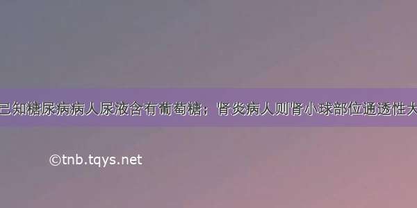 （共8分）已知糖尿病病人尿液含有葡萄糖；肾炎病人则肾小球部位通透性大为增加 尿液