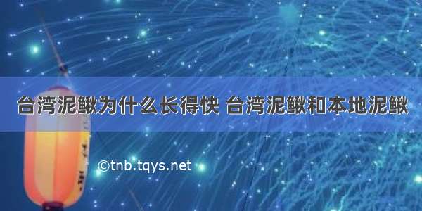 台湾泥鳅为什么长得快 台湾泥鳅和本地泥鳅