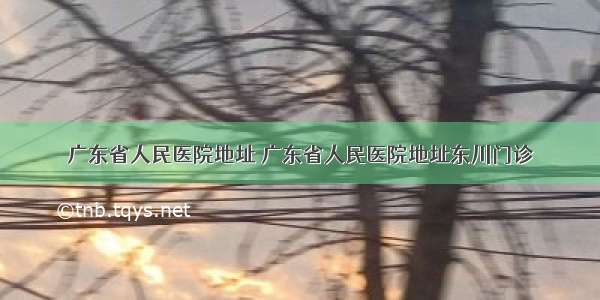 广东省人民医院地址 广东省人民医院地址东川门诊