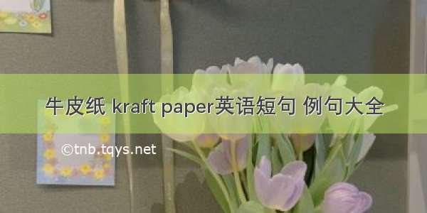 牛皮纸 kraft paper英语短句 例句大全