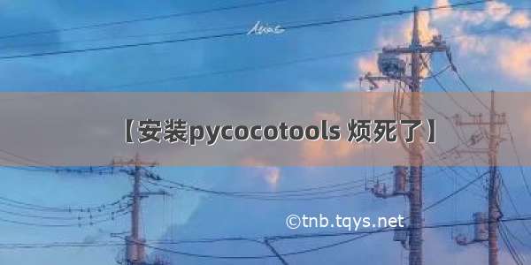 【安装pycocotools 烦死了】