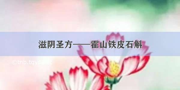 滋阴圣方——霍山铁皮石斛